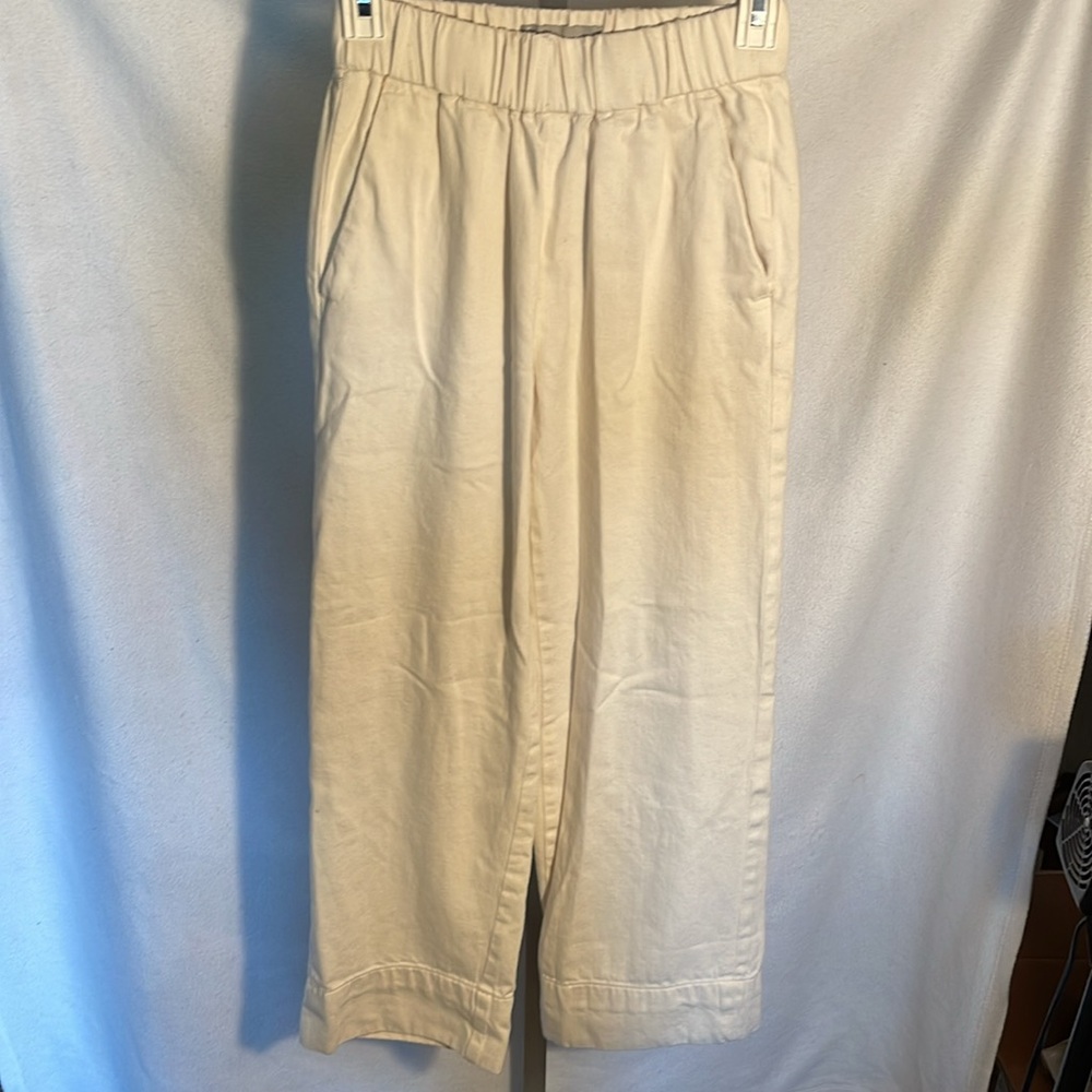 102 (Everlane Pants) - Picture 11 of 13